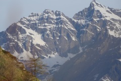 VERSO PIANTONETTO